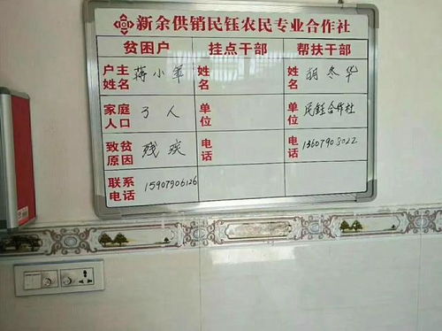 江西新余供銷系統(tǒng) 扶貧綜合服務(wù)站助力精準(zhǔn)脫貧，日用品貿(mào)易銷售惠民生